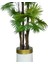 Yapay Ağaç Yelpaze Palmiye 4katlı Fanpalm 32 Yaprak Altın Kemerli Beyaz Saksıda 170*65CM 4