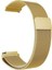 Ferucci 027T Kordon Hasır Metal Örgülü KRD01 22MM 1
