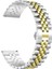 Ferucci 019GC Kordon Stainless Çelik KRD36 20MM 1