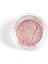 Eye & Body Powder Pigment 2