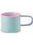 Dora Yeşil Mug Kupa 270 ml 4