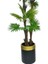 Yapay Ağaç Palmiye Fanpalm 3katlı 24YAPRAK Gold Kemerli Siyah Saksıda 165*65CM 4