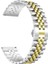 Ferucci Watch FC191594 Kordon Stainless Çelik KRD36 20MM 1