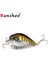 Kaki Shad Stili Squarebill Crankbaits G Kare Bill Crankbaits Yüzer Krank Yemi Çıngıraklı Balıkçılık Yemleri (Yurt Dışından) 5