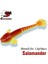 PA16 Stili 55MM 10 Adet Kesfıshıng Yeni Cazibesi Balıkçılık Cazibesi Solucan Semender Bas Zander Yayın Balığı Goby Için G (Yurt Dışından) 2