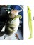 D Stili Best Gear Tuzlu Su Yemleri - Bass Wrasse Cod Pollock Deniz Balıkları Takımı Neu (Yurt Dışından) 4