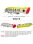 B Tarzı 10 Renk Popper Unlure Olta Takımı 3.15 "-8cm. Balıkçılık Lures Popper Lures Bas Yemler 6 # Kanca Balık Yemi (Yurt Dışından) 1