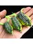 E Stili 12G 62MM D Gözler Kurbağa Lures 6g 9g 12G Topwater Yumuşak Tüp Yem Plastik Çift Kancalı Balıkçılık Cazibesi Işın Kurbağa Yapay Kauçuk Yem (Yurt Dışından) 3