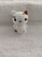 Trendo Gurumi Amigurumi Oyuncak Anahtarlık  Hediyelik (Kedi-6 Cm) 4