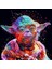 Canvas Starwars Yoda Sayılarla Boyama Seti Kasnaklı 1
