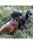 Dinozor-1-Simüle Jurassic Dinozor Oyuncaklar Katı Güney Dev Dinozor Modeli Tyrannosaurus Rex Dev Beast Ejderha Hayvan Çocuk (Yurt Dışından) 3