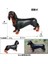 1277 Dachshund-Kafkas Herding Köpek Simülasyon Hayvanlar Figürleri Yapay Model Köpekler Koleksiyonu Oyuncak Çocuklar Çocuklar Için Doğum Günü Si Süsler (Yurt Dışından) 1