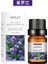 Menekşe Tarzı 18 Çeşit Koku 10ML Lavanta Esansiyel Yağı Araba Suda Çözünür Uçucu Yağ Nemlendirici Kokulu Mum Sabunu Dıy Üretim (Yurt Dışından) 1