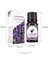 Zambak Tarzı 10ML Esansiyel Yağlar Toure Aromaterapi Yağları, Nemlendirici Kokuları, Difüzör, Masaj, Yapımı, Cilt ve Saç Bakımı, Çay Ağacı (Yurt Dışından) 5