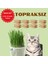 (Maxi Set- 12 Aylık Kullanım) Topraksız Suda Kedi Çimi Yetiştirme Kiti + 12 Aylık Tohum 2