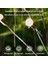 Çok Renkli Stil 6led LED Güneş Işığı Bahçe Dekor Ateşböceği Işıkları 6ledled Dış Mekan IP65 Su Geçirmez Lamba Güneş Işığıyla Çalışan Noel Dekoracja Ogrodu (Yurt Dışından) 3