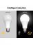 5W Tarzı 1 Parça Pır Hareket Sensörü Lamba E27 LED Radar Ampul Smdır Hareket Sensörü Lamba Ampul Güvenlik Işığı (Yurt Dışından) 3