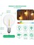 110V Tarzı Neden Olmuş G40 LED Yedek Ampuller E12 Vida Tabanı Kırılmaz LED Küre Ampuller Açık Dize Işıklar Için Işık Sıcak Beyaz 25 Paket (Yurt Dışından) 3