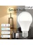 E27 Coruı Wifi Kısılabilir Akıllı Ampul Soğuk ve Sıcak E27 E26 B22 Akıllı Ampul Alexa Google Home Cozylife Uygulaması Sesli Uzaktan Kumanda (Yurt Dışından) 2