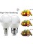 6W Tarzı E14 (2 Alana 1 Bedava) LED Ampul Ev Dekorasyonu Ofis Gw E14 E27 AC220V 3000K 4000K 6000K LED Lamba Bombillas (Yurt Dışından) 5