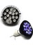 54W Tarzı 45W Paketi LED Akvaryum Ampul PAR38 Spot Ampul LED Akvaryum Aydınlatma Ampul Balık Tankı Için Tam Spektrum (Yurt Dışından) 1