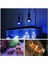 54W Tarzı 45W Paketi LED Akvaryum Ampul PAR38 Spot Ampul LED Akvaryum Aydınlatma Ampul Balık Tankı Için Tam Spektrum (Yurt Dışından) 5