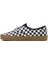 Authentic 2