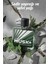 Musk Metropolitano Erkek Parfüm Edt 75 Ml. Üçlü Set 3