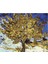 Van Gogh Ağaç Kasnaklı Sayılarla Boyama Seti 1