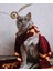 Atkılı Kedi Kasnaklı Sayılarla Boyama Seti 1