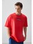 Fiesta %100 Pamuk Kalın Yumuşak Dokulu Oversize Fit Baskılı Erkek T-Shirt - 88359 1