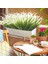 10 Paketler Yapay Bitkiler Açık Çim Çiçekler Uv Dayanıklı Yeşillik Bahçe Sundurma Pencere Kutusu Dekorasyon Beyaz,декоративные Подарки (Yurt Dışından) 2
