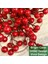 25 Adet 20CM Berry Noel Süslemeleri Kaynaklanıyor, Noel Seçtikleri Dallar Çubuklar Dallar,декоративные Подарки (Yurt Dışından) 2