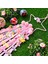 Beş Köşeli Yıldız Duvar Asılı Dekor Saç Yaylar Depolama Kemer Kızlar Için Saç Klipleri Hairband Organizatör Şerit Tutucu-2,декоративные Подарки (Yurt Dışından) 3