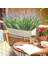 10 Paketler Yapay Bitkiler Açık Çim Çiçekler Uv Dayanıklı Yeşillik Bahçe Sundurma Pencere Kutusu Dekorasyon Mor,декоративные Подарки (Yurt Dışından) 4