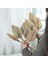12 Adet Doğal Kurutulmuş Palmiye Yaprakları Dekor Boho Kurutulmuş Yaprak Düğün Dekorasyon Için Yatak Odası Mutfak Ofis 10X40 Cm,декоративные Подарки (Yurt Dışından) 4