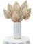 12 Adet Doğal Kurutulmuş Palmiye Yaprakları Dekor Boho Kurutulmuş Yaprak Düğün Dekorasyon Için Yatak Odası Mutfak Ofis 10X40 Cm,декоративные Подарки (Yurt Dışından) 5