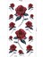 Kırmızı Gül Otantik Geçici Dövme Gül Tattoo 1