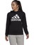 Sportswear GL0653 Essentials Logo Fleece Hoodie 1