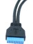 Anakart USB 3.0 20PIN Erkek Çift USB 3.0 Dişi Kablo Pc Bilgisayar Kasası 2 Port Usb3.0 Anakart 20PIN Başlık Adaptörü (Yurt Dışından) 3