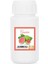 Guava Kokusu Çubuklu Koku Bambu Kokusu Yedek Dolum Şişesi 100 ml 1