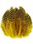 100 Pcs Decor Yellow Bırd Feather 100 Adet Puantiyeli Sarı Siyah Kuş Tüyü Dekor Sarı Kuş Tüyü 1