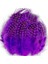 100 Pcs Decor Purple Bırd Feather 100 Adet Puantiyeli Mor Siyah Kuş Tüyü Dekor Mor Kuş Tüyü 1