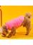Içi Tüylü Köpek Montu - Pembe 1