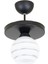 Modern Ikili Özel Şeritli Cam Model Modern Plafonyer Avize Siyah 1 E27 Metal 1