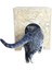 Dizayn Kedi Evi Dış Ortam Uygun Ahşap Kedi Evi Osb 40X37X34 cm (Minder ) 4
