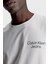 Calvin Klein Pamuklu Regular Fit Bisiklet Yaka T Shirt J30J325186PC8 Erkek T Shirt J30J325186 Pc8 5