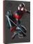 Firecuda Marvel Miles Morales Se, 2 Tb Harici Sabit Disk USB 3.2 Specialedition 1