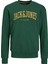 Baskılı Erkek Çocuk Koyu Yeşil Sweatshırt Jjejosh Sweat Crew Neck Noos Jnr 5