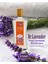 Lavender Lavanta Yağlı Kolonya 80° Cam Şişe 260 ml 1